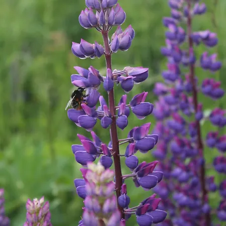 Blick Zur Heide Apartamento Volkesfeld