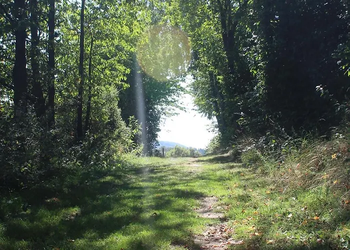 דירה Blick Zur Heide