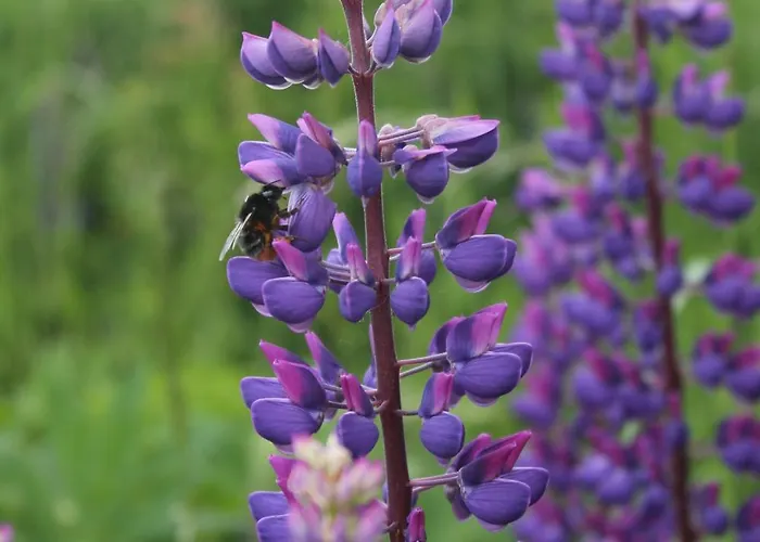 Blick Zur Heide דירה Volkesfeld